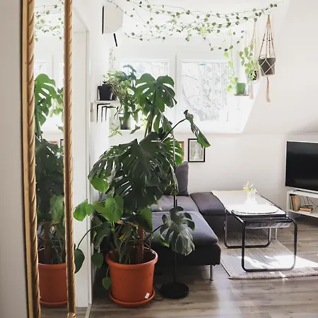 Apartment Urban Jungle - Free Parking *