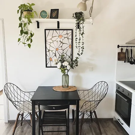 Urban Jungle - Free Parking Apartmán
