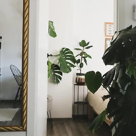 Urban Jungle - Free Parking * Lublaň
