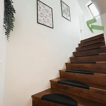 Urban Jungle - Free Parking *