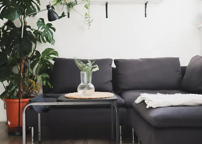 Urban Jungle 1 - Free Parking Liubliana