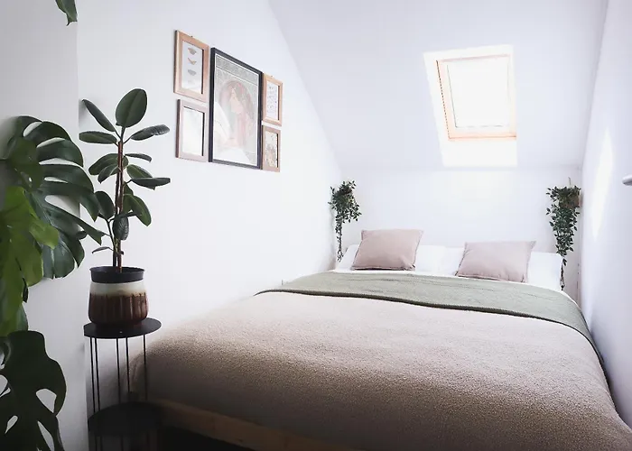 Urban Jungle 1 - Free Parking *