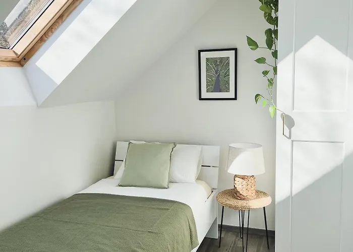 Urban Jungle 1 - Free Parking