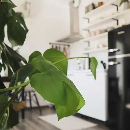 Urban Jungle 1 - Free Parking * Lublaň