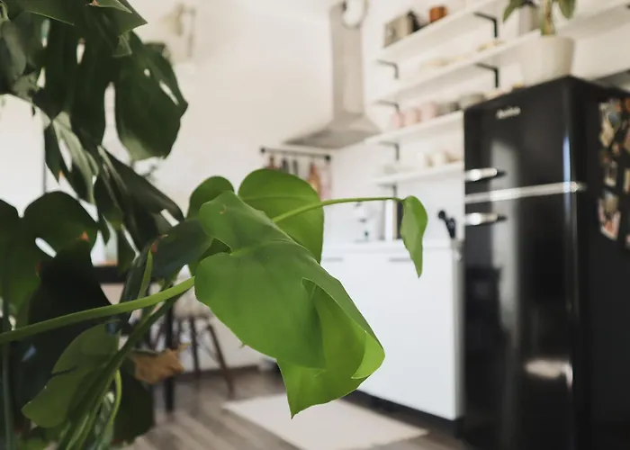 Urban Jungle 1 - Free Parking * 류블랴나